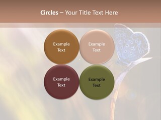 Western Caucasus Lifestyle Resort PowerPoint Template