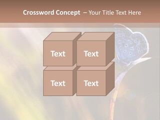 Western Caucasus Lifestyle Resort PowerPoint Template