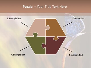 Western Caucasus Lifestyle Resort PowerPoint Template