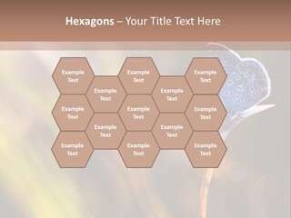 Western Caucasus Lifestyle Resort PowerPoint Template