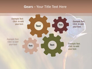 Western Caucasus Lifestyle Resort PowerPoint Template