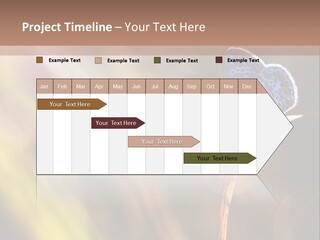 Western Caucasus Lifestyle Resort PowerPoint Template
