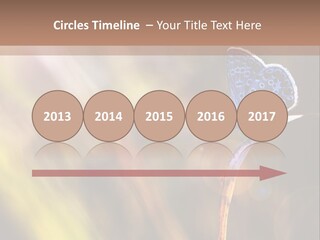 Western Caucasus Lifestyle Resort PowerPoint Template