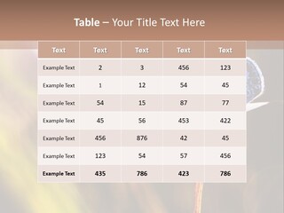 Western Caucasus Lifestyle Resort PowerPoint Template