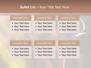 Western Caucasus Lifestyle Resort PowerPoint Template