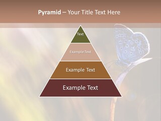 Western Caucasus Lifestyle Resort PowerPoint Template