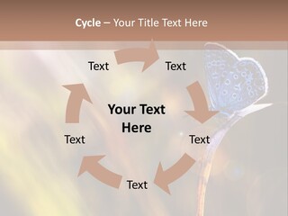 Western Caucasus Lifestyle Resort PowerPoint Template