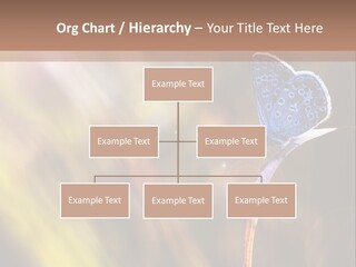 Western Caucasus Lifestyle Resort PowerPoint Template