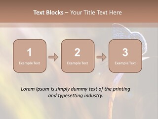 Western Caucasus Lifestyle Resort PowerPoint Template