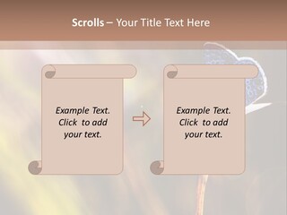 Western Caucasus Lifestyle Resort PowerPoint Template