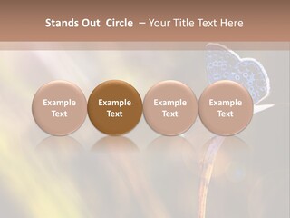 Western Caucasus Lifestyle Resort PowerPoint Template