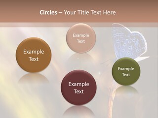 Western Caucasus Lifestyle Resort PowerPoint Template