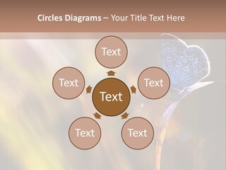 Western Caucasus Lifestyle Resort PowerPoint Template
