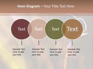 Western Caucasus Lifestyle Resort PowerPoint Template