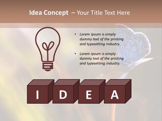 Western Caucasus Lifestyle Resort PowerPoint Template