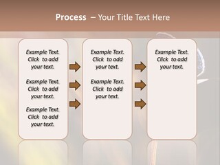 Western Caucasus Lifestyle Resort PowerPoint Template
