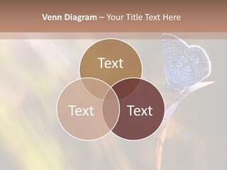 Western Caucasus Lifestyle Resort PowerPoint Template