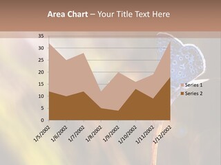 Western Caucasus Lifestyle Resort PowerPoint Template