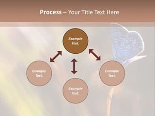 Western Caucasus Lifestyle Resort PowerPoint Template