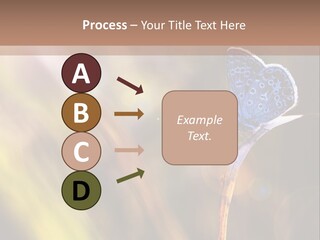 Western Caucasus Lifestyle Resort PowerPoint Template