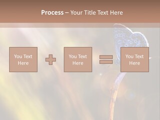 Western Caucasus Lifestyle Resort PowerPoint Template