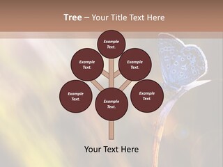 Western Caucasus Lifestyle Resort PowerPoint Template