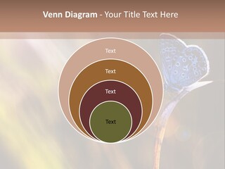 Western Caucasus Lifestyle Resort PowerPoint Template