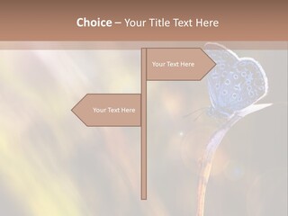 Western Caucasus Lifestyle Resort PowerPoint Template