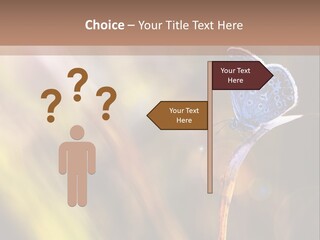Western Caucasus Lifestyle Resort PowerPoint Template