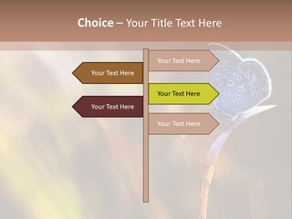 Western Caucasus Lifestyle Resort PowerPoint Template