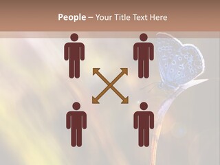 Western Caucasus Lifestyle Resort PowerPoint Template