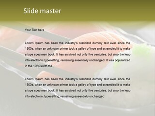 Maki Diet Food Bonito PowerPoint Template