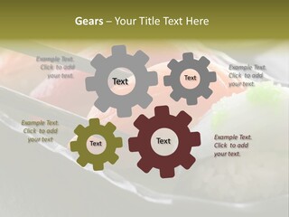 Maki Diet Food Bonito PowerPoint Template