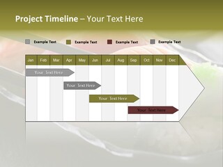 Maki Diet Food Bonito PowerPoint Template