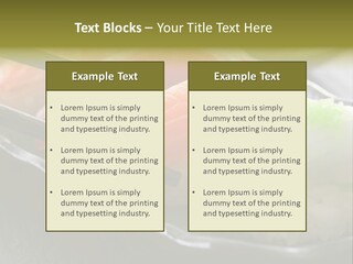 Maki Diet Food Bonito PowerPoint Template