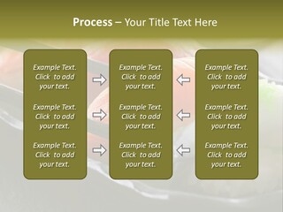 Maki Diet Food Bonito PowerPoint Template