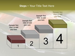 Maki Diet Food Bonito PowerPoint Template