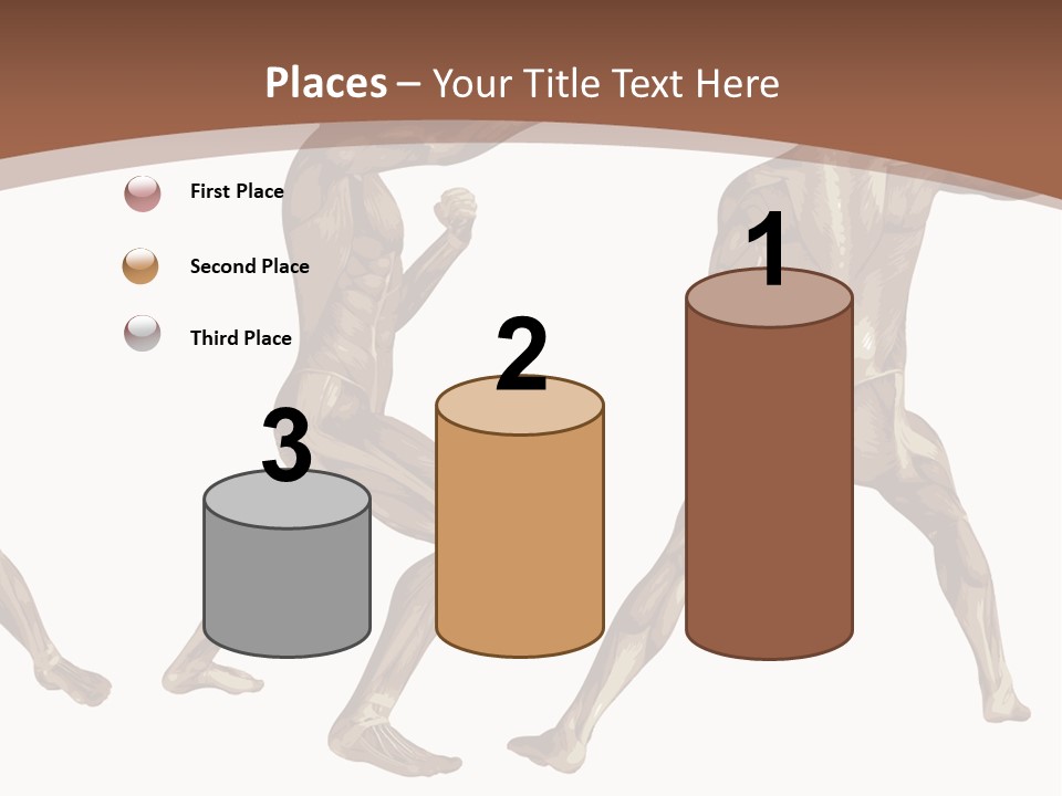 Skin Musculature Anatomical PowerPoint Template
