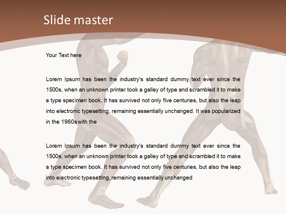 Skin Musculature Anatomical PowerPoint Template