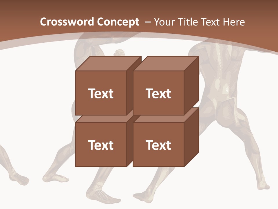 Skin Musculature Anatomical PowerPoint Template