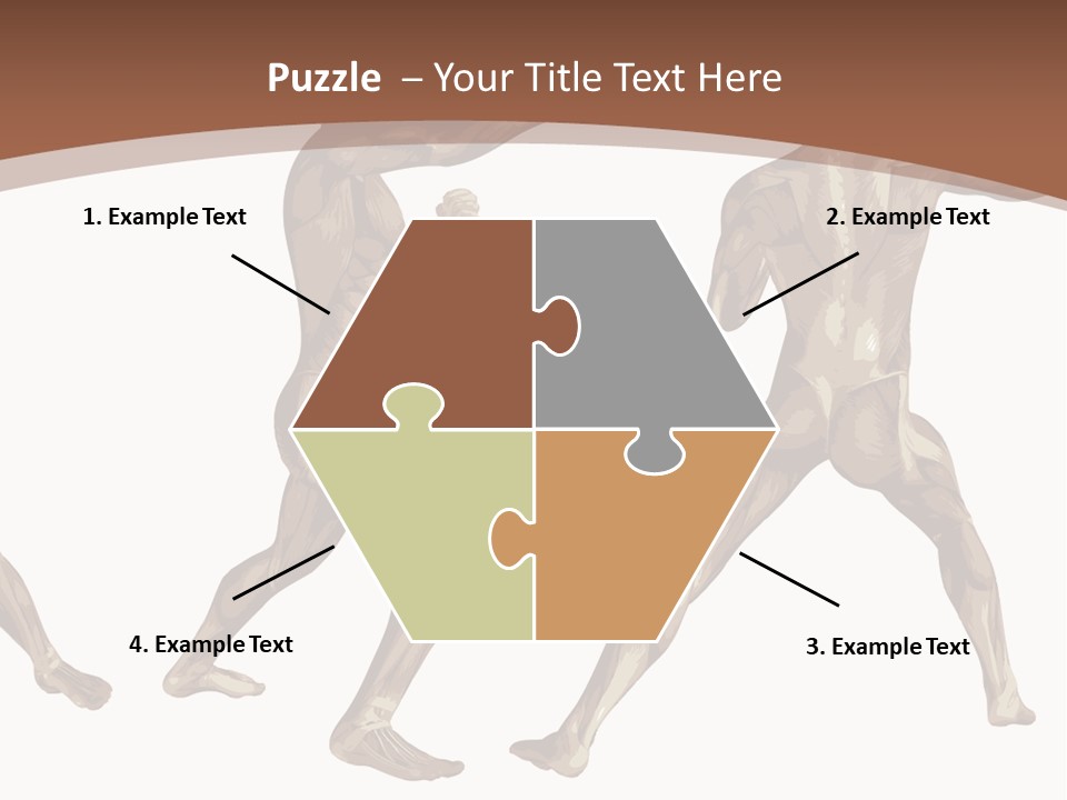 Skin Musculature Anatomical PowerPoint Template
