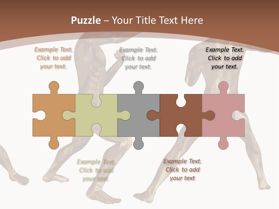 Skin Musculature Anatomical PowerPoint Template