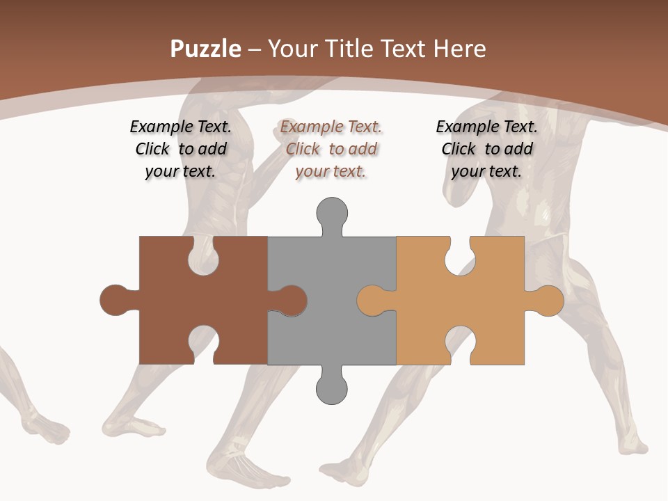 Skin Musculature Anatomical PowerPoint Template