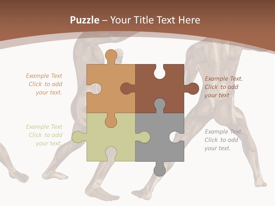 Skin Musculature Anatomical PowerPoint Template