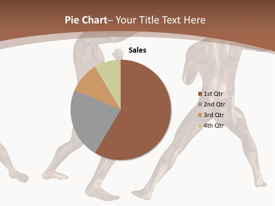 Skin Musculature Anatomical PowerPoint Template