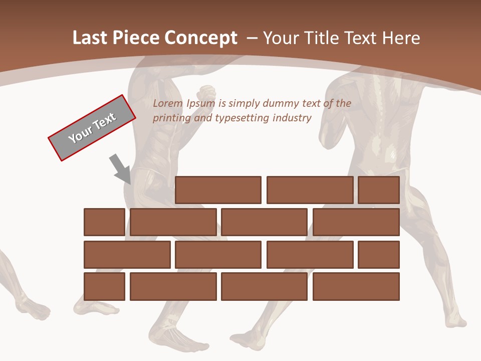 Skin Musculature Anatomical PowerPoint Template