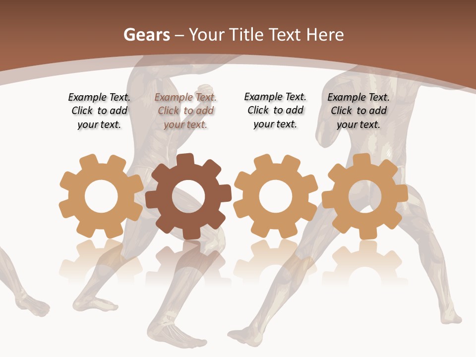 Skin Musculature Anatomical PowerPoint Template