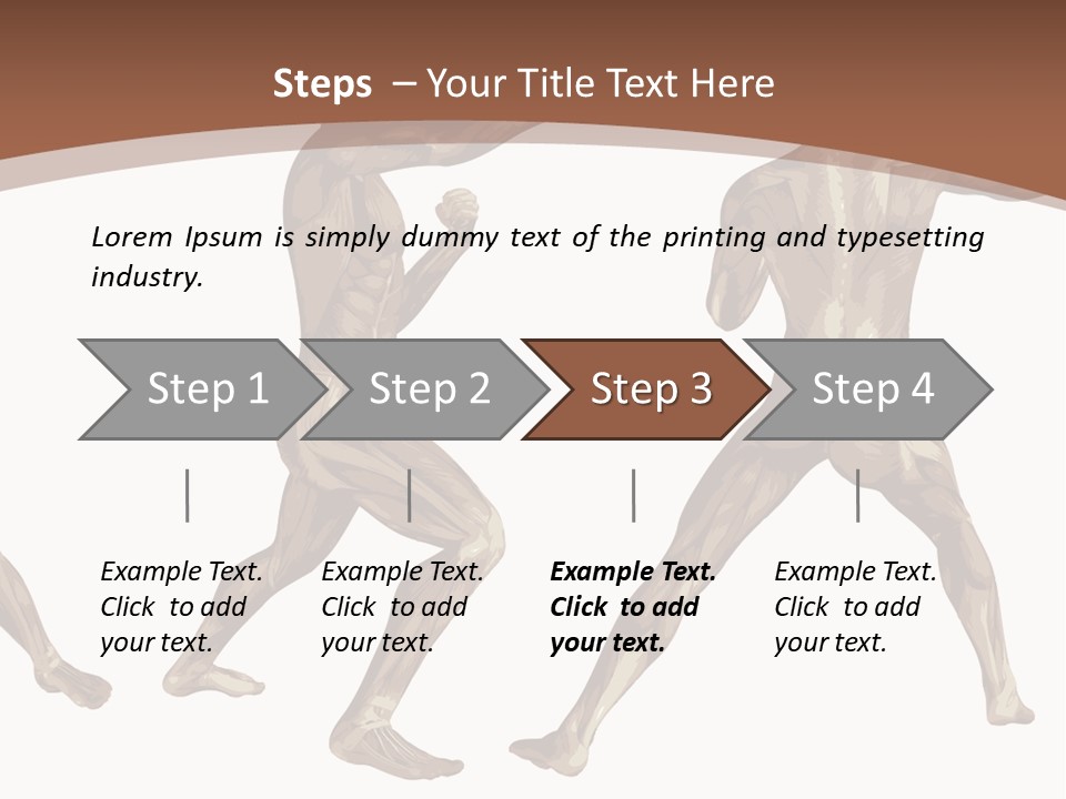 Skin Musculature Anatomical PowerPoint Template