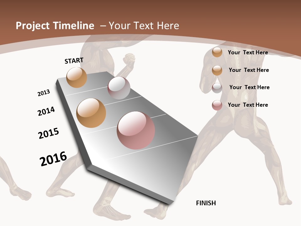 Skin Musculature Anatomical PowerPoint Template