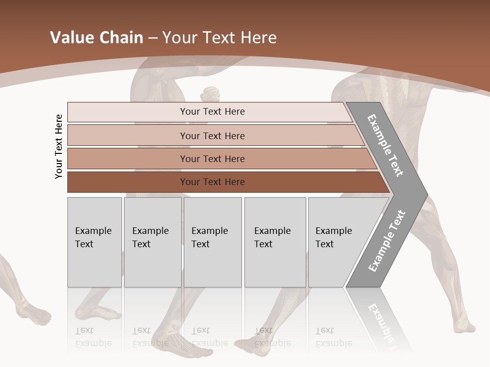 Skin Musculature Anatomical PowerPoint Template